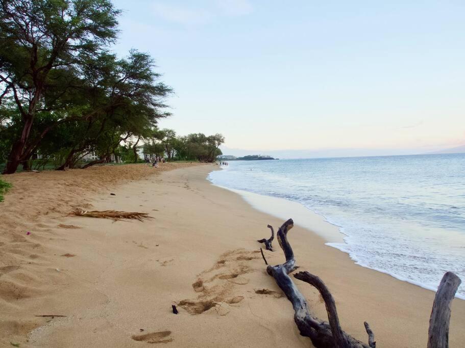 Ocean View One Bedroom At Honua Kai!! Lahaina Exterior photo